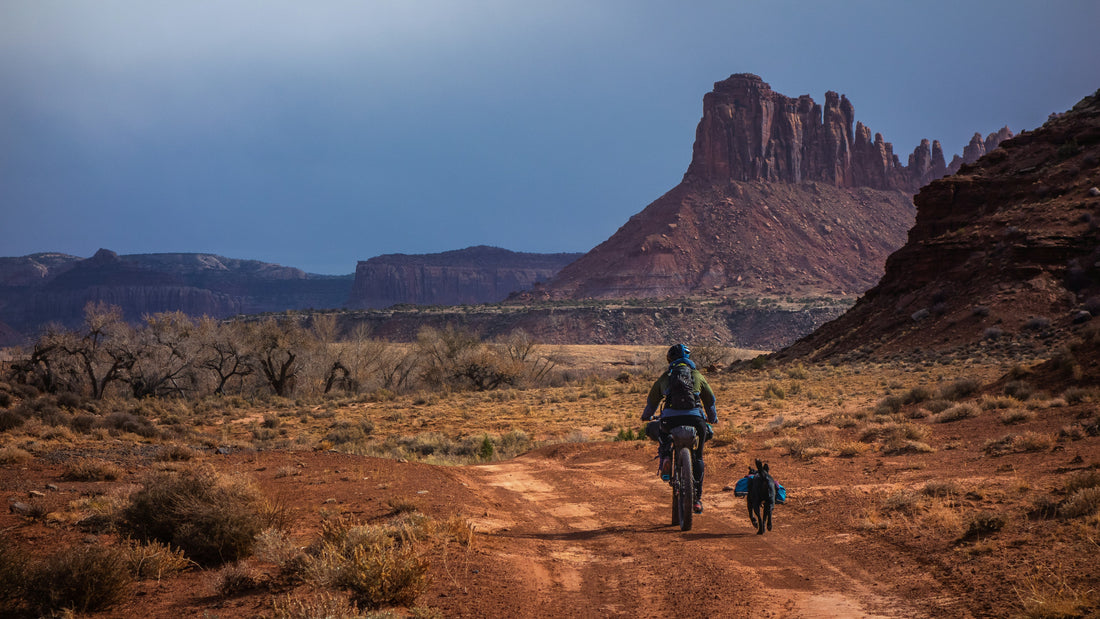 Cómo elegir tu bolsa de sillín para bikepacking: guía completa